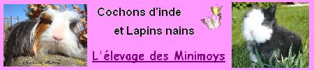 minimoys
