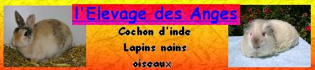 lesanges