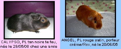 parentschanel2