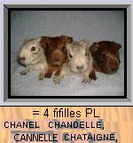 soeurschanel